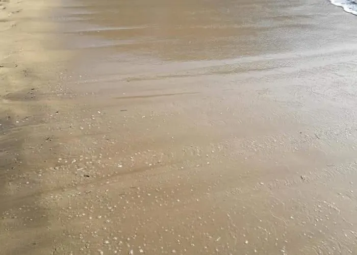 Vakantiehuis Kalymnos House